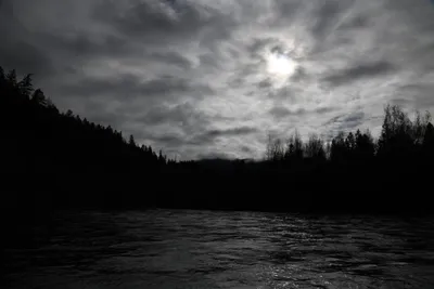 DSC_0214 (Large).JPG